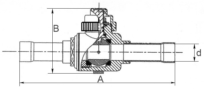 BC-BV-sh