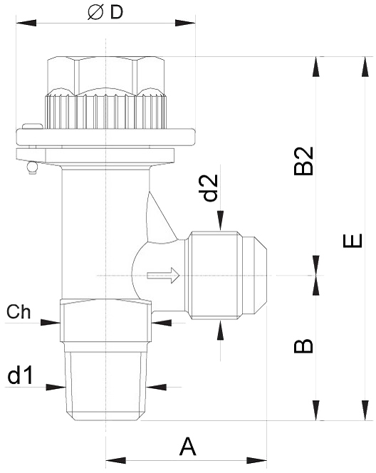 BC-SV-certej2